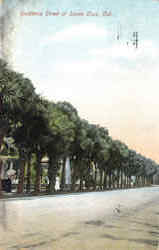 Residence Street At Santa Cruz Postcard
