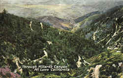 Through Millard's Canyon, Mt. Lowe Scenic, CA Postcard Postcard