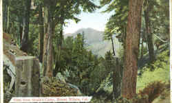 Vista From Strain's Camp Mount Wilson, CA Postcard Postcard