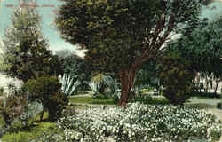 City Park City Park