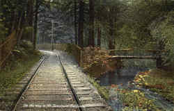 On The Way To Mt. Jamalpais Postcard