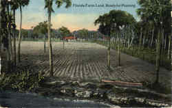 Florida Farm Land Scenic, FL Postcard Postcard