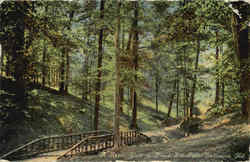 A Rustic Walk In Druid Hill Park Postcard