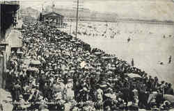 The Boardwalk From Youngs Pier Postcard