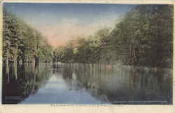 Alligator Lake Columbus, MS Postcard Postcard