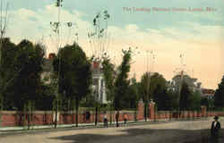 The Leading Resident Street Postcard