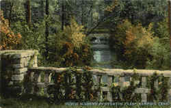 Rustic Scenery In Overton Park Postcard