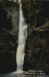 Multnomah Falls Cascade Locks, OR Postcard 