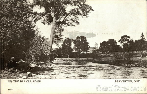 On the Beaver River Beaverton Canada Ontario
