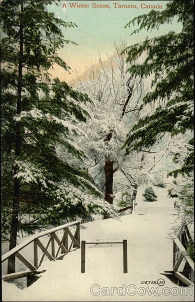 A Winter Scene ON Canada Ontario