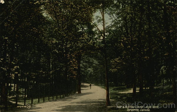 Deer & Buffalo Corral, High Park Toronto Canada Ontario