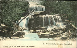 Old Morrison Falls Livingston Manor, NY Postcard Postcard