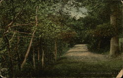 Lovers Lane North Scituate, RI Postcard Postcard