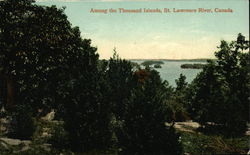 Among the Thousand Islands Postcard