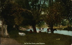 On the Don River, Near Toronto Postcard