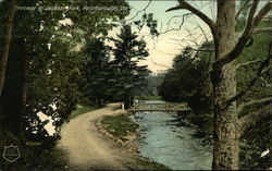 Driveway in Jackson Park Postcard