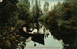 Tributary to the Lake of Bays Postcard