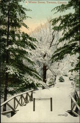 A Winter Scene Postcard