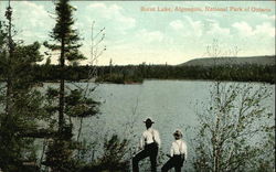 Burnt Lake, Algonquin, National Park of Ontario Postcard