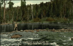 A Speckled Trout Pool on the Madawaska River Postcard
