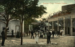 People Strolling at Hanlon's Point Postcard
