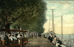 Promenande, Hanlon's Point Postcard
