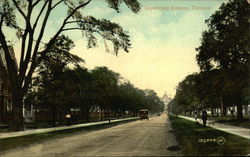 Residential View of University Avenue Postcard