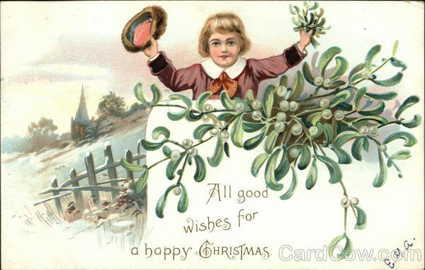 Young Boy Picking Mistletoe Children