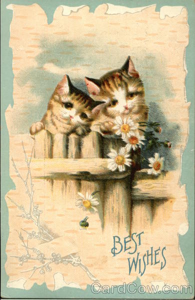 Best Wishes - Two Cats and Daisies
