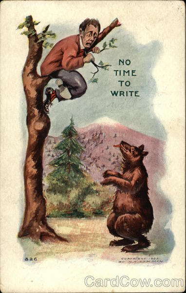 No Time to Write - Bear Chased Man up a Tree Bears