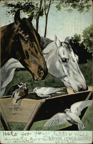 Horses At Trough