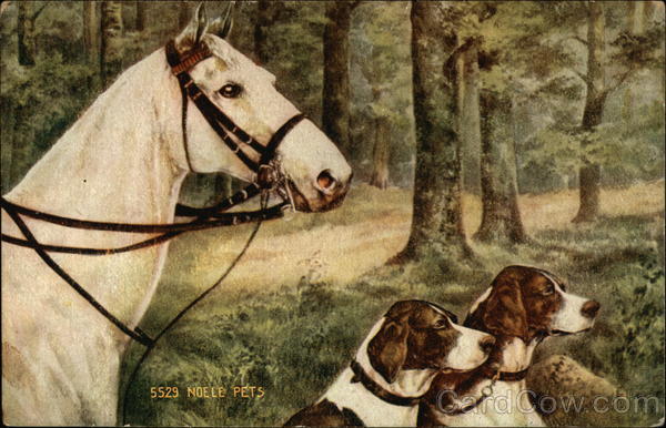 White Horse and Two Dogs in Landscape