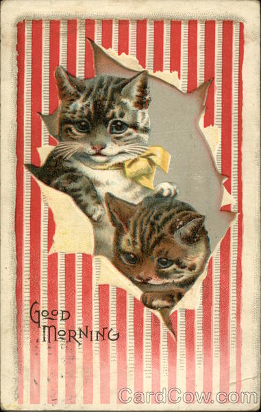 Cats Looking through Torn Paper