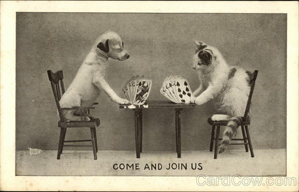 Cat and Dog Playing Cards at Table Cats