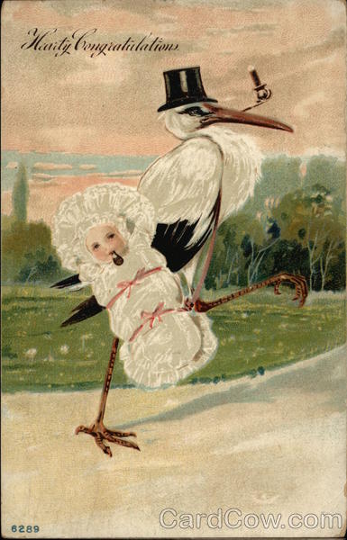 Stork Delivering Girl Baby Babies