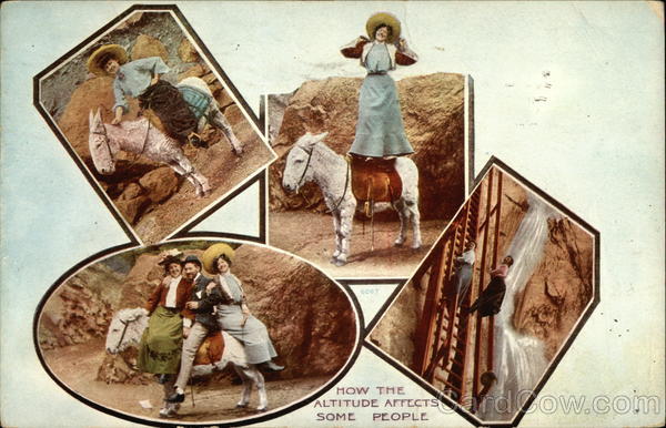 Views of People Riding Donkeys Cowboy Western