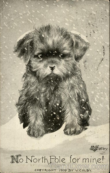 No North Pole for Mine! Dogs