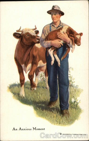 An Anxious Moment - Farmer carrying Newborn Calf as Cow Follows