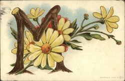 Letter "M" And Daisies Postcard