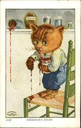 Clothed Cat In Jam and Jelly Jars Postcard