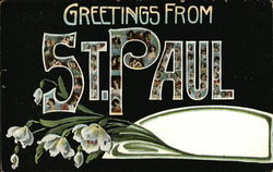Greetings from St. Paul Minnesota Postcard Postcard