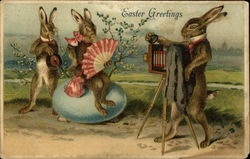 Rabbit Takes Photograph Of Rabbit Couple Posing Near Egg Postcard