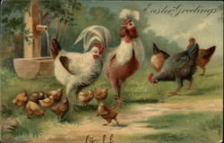 Easter Greeting - Chickens and Chicks Postcard