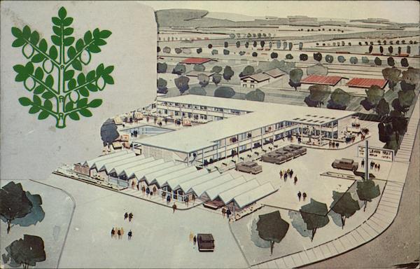 Mailed from Lemon Tree Motor Hotel Santa Barbara California