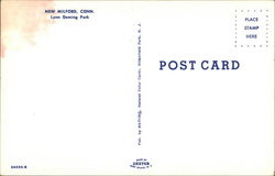 back