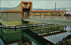 Undersea Gardens Newport, OR Postcard Postcard