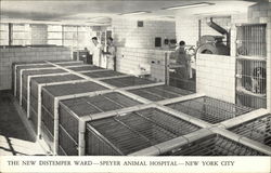 The New Distemper Ward - Speyer Animal Hospital Postcard