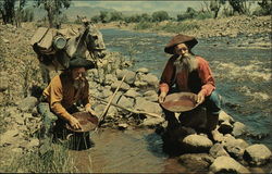 Panning Gold Postcard