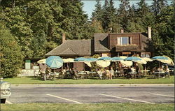 Stanley Park Postcard