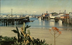 Fisherman's Wharf Postcard